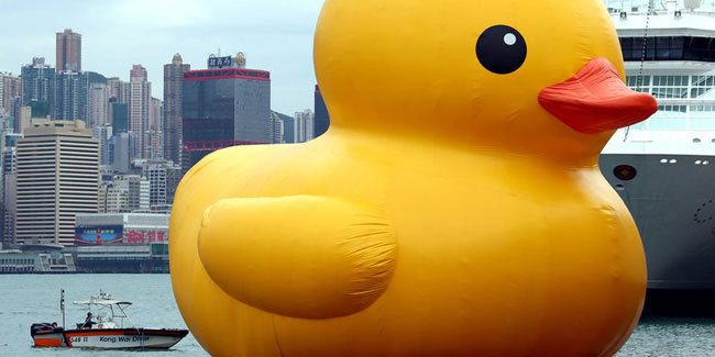 13 January - Rubber Duckie Day