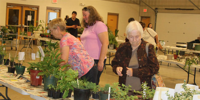 25 January - Seed Swap Day in USA