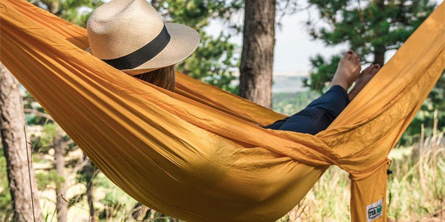 22 July - Hammock Day