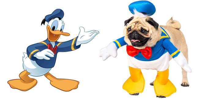 9 June - Donald Duck Day