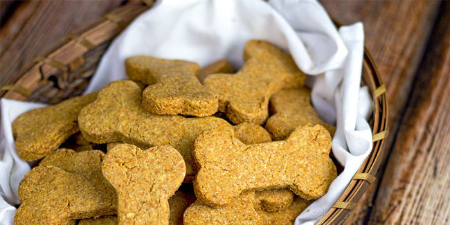 23 February - International Dog Biscuit Appreciation Day