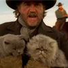 Cat Herders Day