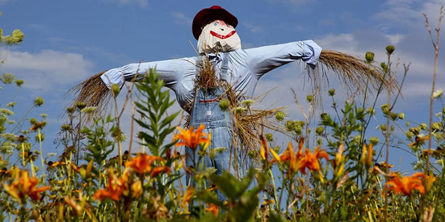 7 July - Build a Scarecrow Day