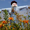 Build a Scarecrow Day