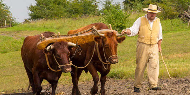 12 October - Old Farmers Day in USA