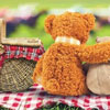 Teddy Bear Picnic Day