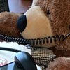 Bring Your Teddy Bear To Work & School Day