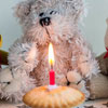 Have a Party with Your Bear Day