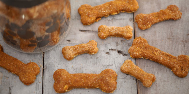 23 February - National Dog Biscuit Day in US