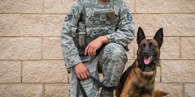 13 March - K-9 Veterans Day