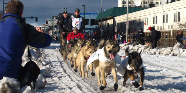 1 March - Iditarod Trail Sled Dog Race