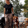 National Dog Walker Appreciation Day in US