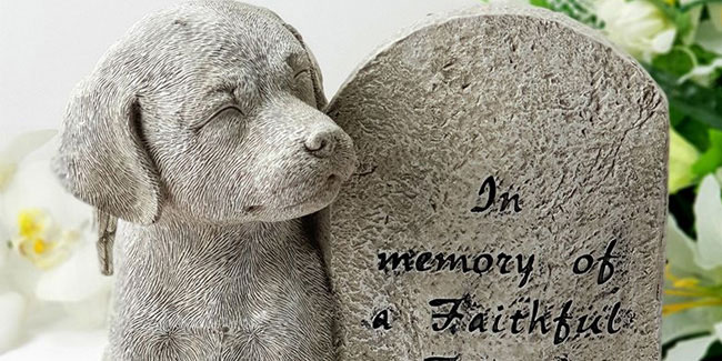 11 June - World Pet Memorial Day