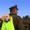 Carabinieri Day or Shooter Day in Chile