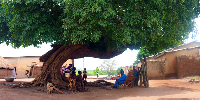 1 June - National Tree Day in Benin