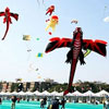 International Kite Festival in Gujarat, India