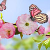 Day of spring, friendship and youth in Peru