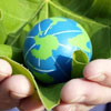 International Environmental Education Day