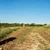 Steppe Day in Ukraine