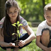 Day of the creation of the youth movement in Russia