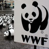 Birthday of the World Wildlife Fund