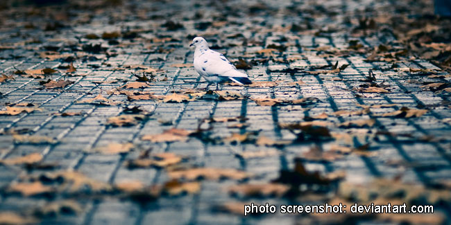 5 October - Autumn Loneliness Day