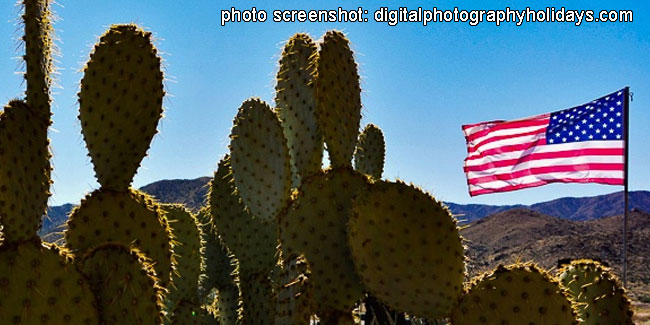 10 May - National Cactus Day in USA