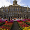National Tulip Day in Netherlands