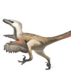 National Velociraptor Awareness Day in USA