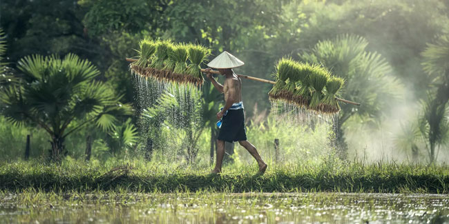 2 February - National Agriculture Day in Thailand