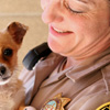 Animal Care and Control Appreciation Week in USA