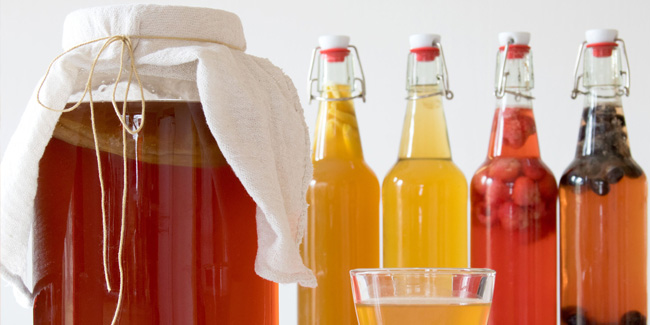 15 January - National Booch Day in USA