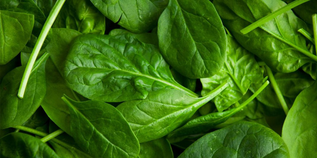 16 July - Fresh Spinach Day in the United States