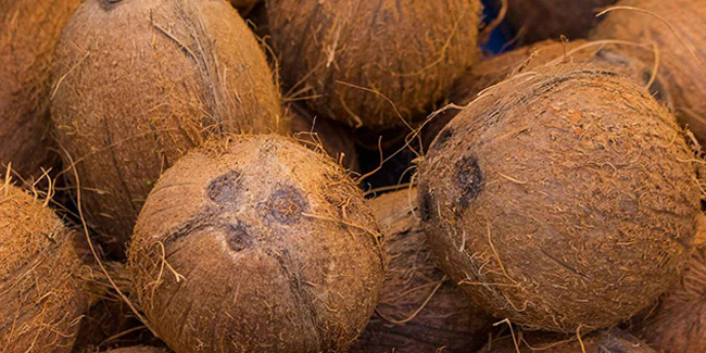 26 June - National Coconut Day in USA