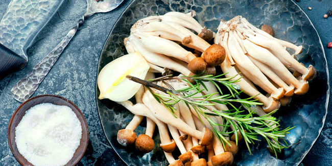 11 August - Mushroom Day in Japan