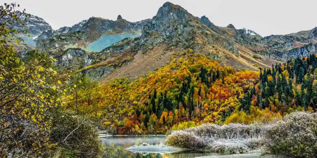 14 October - Wildlife Workers Day in Russia