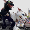 Cat Parade or Kattenstoet in Belgium