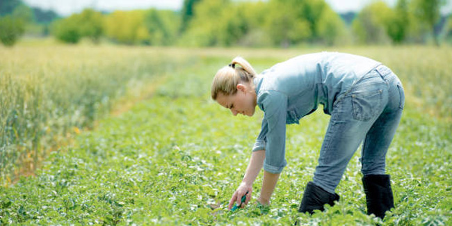 21 June - Agricultural Engineer's Day in Ecuador