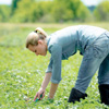 Agricultural Engineer's Day in Ecuador