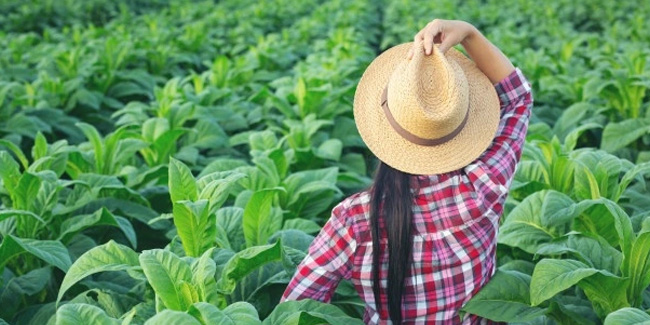 18 June - Agronomist Day in El Salvador