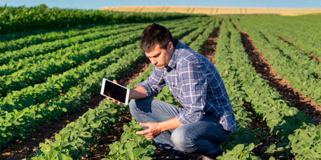 30 June - Agricultural Engineer Day in Peru