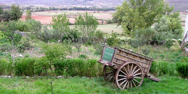 28 August - Agronomist's Day in Chile