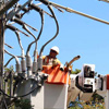 Electrician's Day in El Salvador