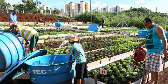 16 October - Brazilian Food Engineer Day