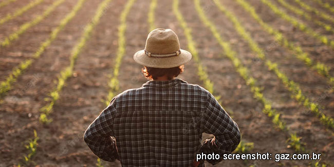 12 October - Agronomist Engineer Day in Brazil