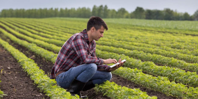 27 October - Agroengineer Day in Brazil