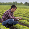 Agroengineer Day in Brazil