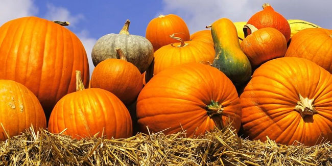 30 November - Pumpkin Day in Ukraine