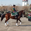 Cavalry Day in Argentina