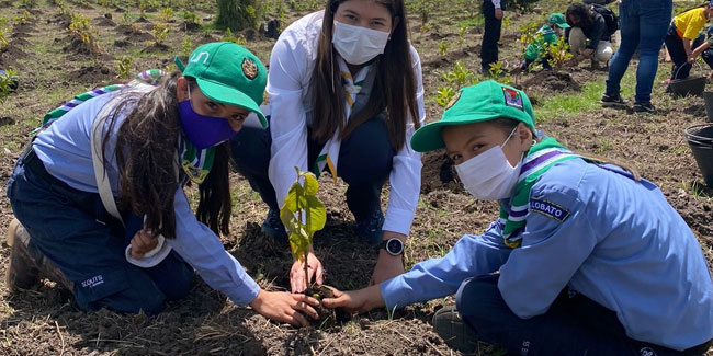 29 April - Tree Planting Day in Colombia